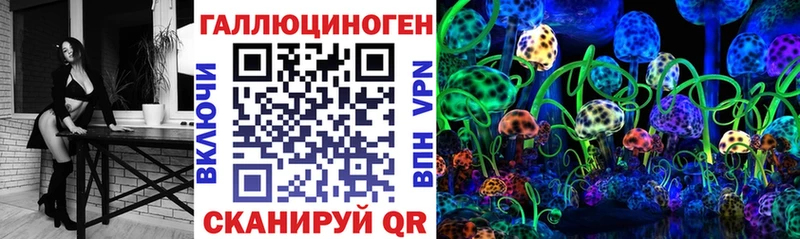 мега маркетплейс  наркошоп  Абакан  Галлюциногенные грибы GOLDEN TEACHER 