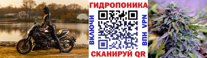 цена наркотик  Абакан  hydra вход  Шишки марихуана ГИДРОПОН 
